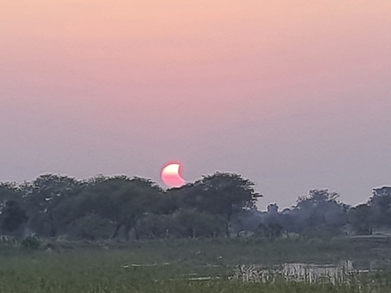 naidunia_image